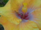 038