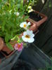 DSCN5526