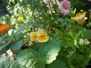 DSCN5528