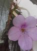 20160626_202509