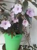 20160626_202456