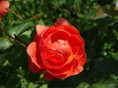DSC08183