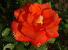 DSC08465