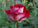 DSC08330