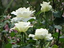 DSC08418
