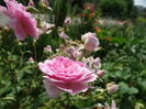 DSC08413