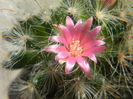 DSCN7317