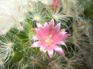 DSCN7320