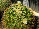 DSCN7323