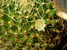 DSCN7324