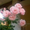 IMG_20160626_160131