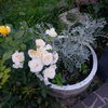 IMG_20160626_210039