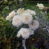 IMG_20160626_161314