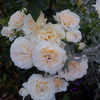 IMG_20160626_210005