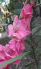 20160626_110545