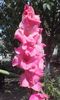 20160626_110451