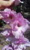 20160626_110523