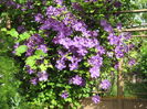 Picture 6536