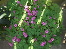 DSCN9653