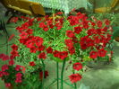 DSCN9654