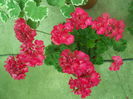 DSCN9655