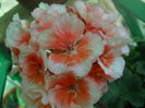 DSCN9657