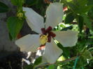 DSCN9663