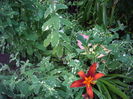 IMGP9853