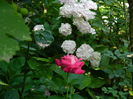 DSCN1167