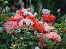 DSC08369