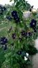 WP_20160622_21_23_03_Pro