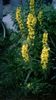 WP_20160622_21_26_06_Pro