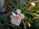 IMG_20160622_121621