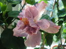 DSC05820