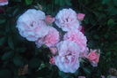 SAM_0758