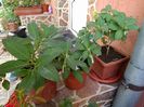 IMG_20160622_121815