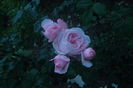SAM_0708
