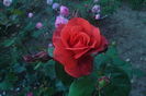 SAM_0706