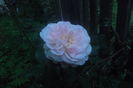 SAM_0691