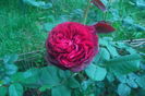 SAM_0687