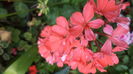 DSC05777