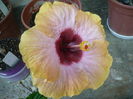 P1270723