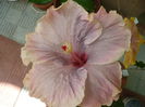 P1270726