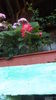 DSC05805