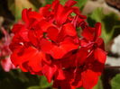 DSC08291