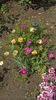 WP_20160625_11_53_29_Pro