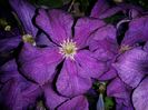 20160624_223944