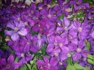 20160624_222711
