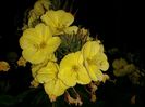 20160625_224541