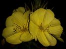 20160624_224317